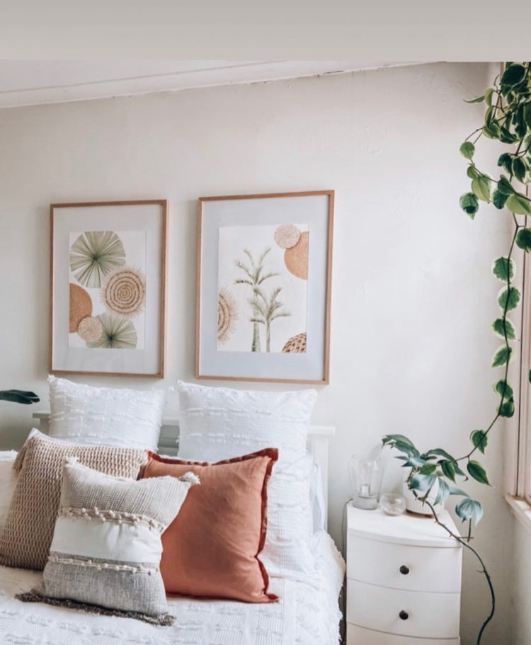 Palms Collections