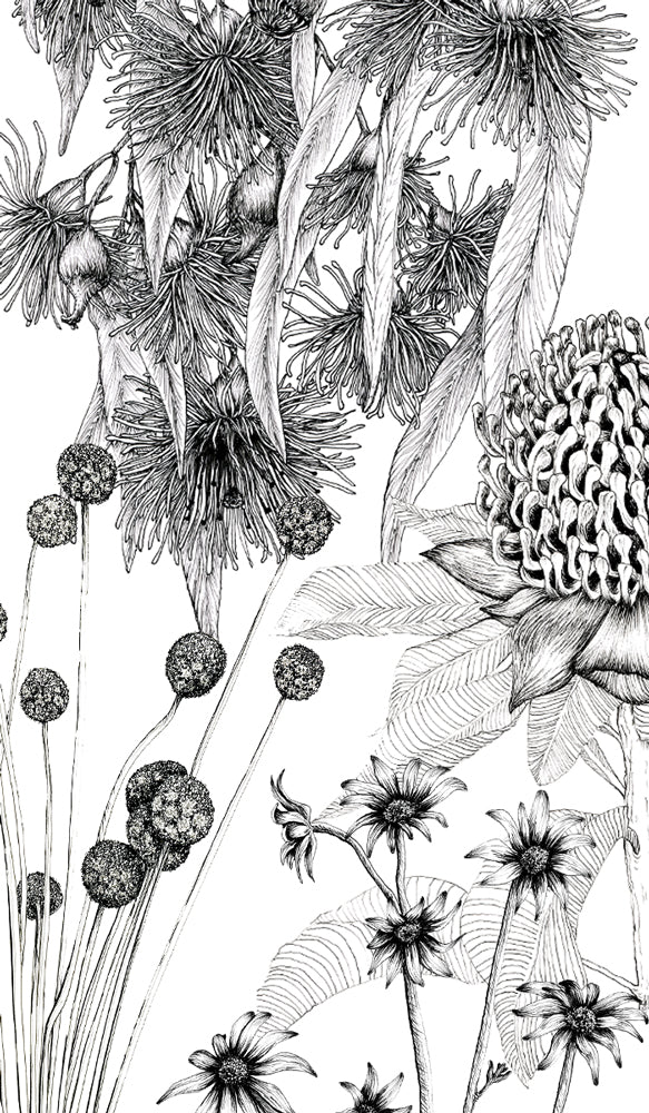 The Line Art Series