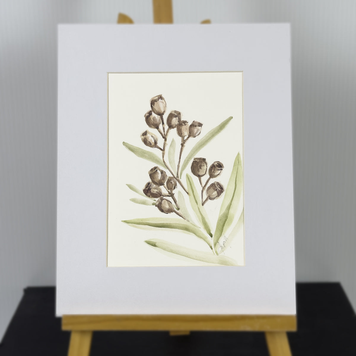 Sweet Gumnuts | Original Artwork | Australian Art | Watercolour Artwork Frianki