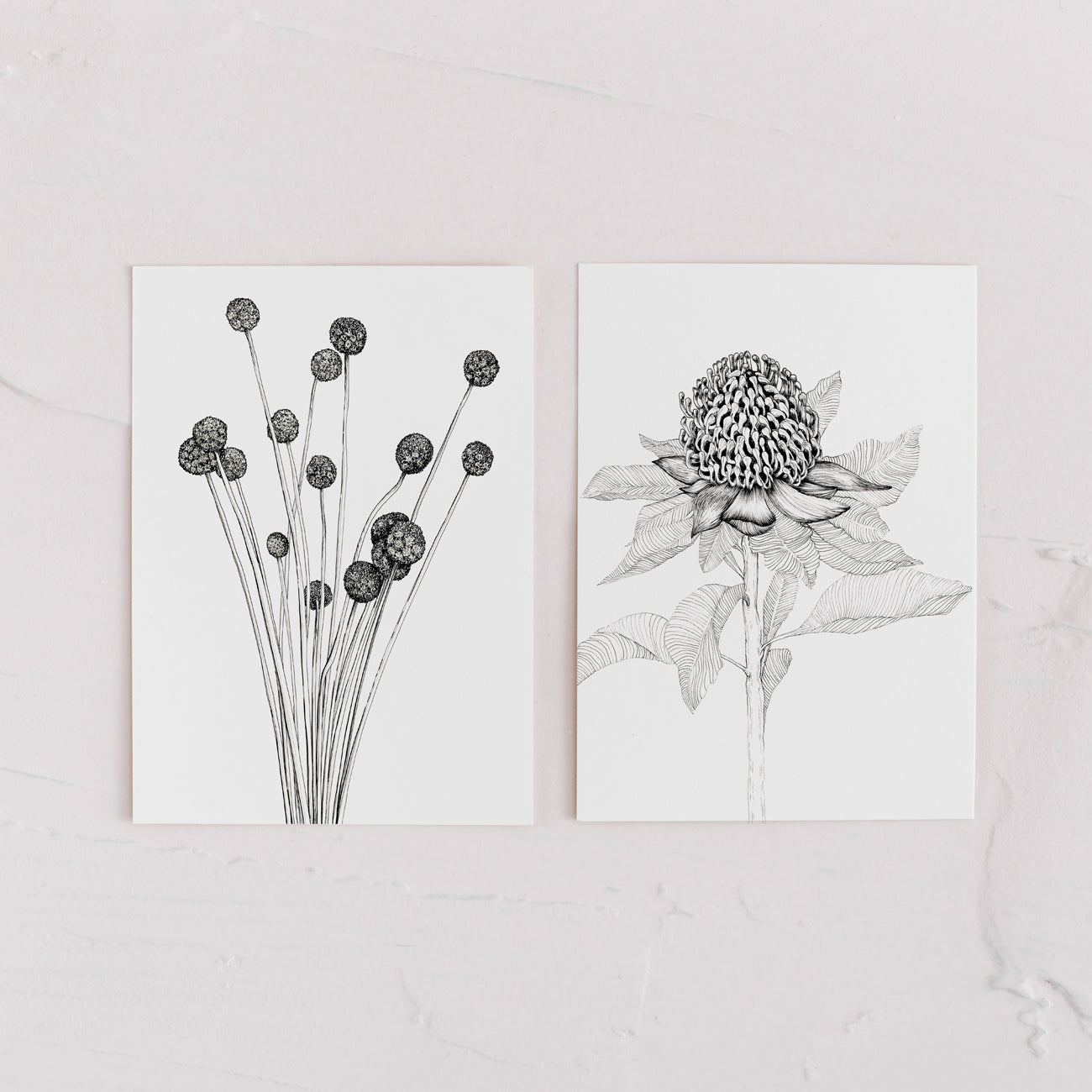 Greeting Cards