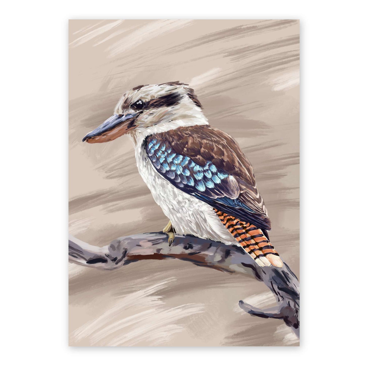 Blue Winged Kookaburra | Australian Bird Art | Native Wildlife Art Print Artwork Frianki