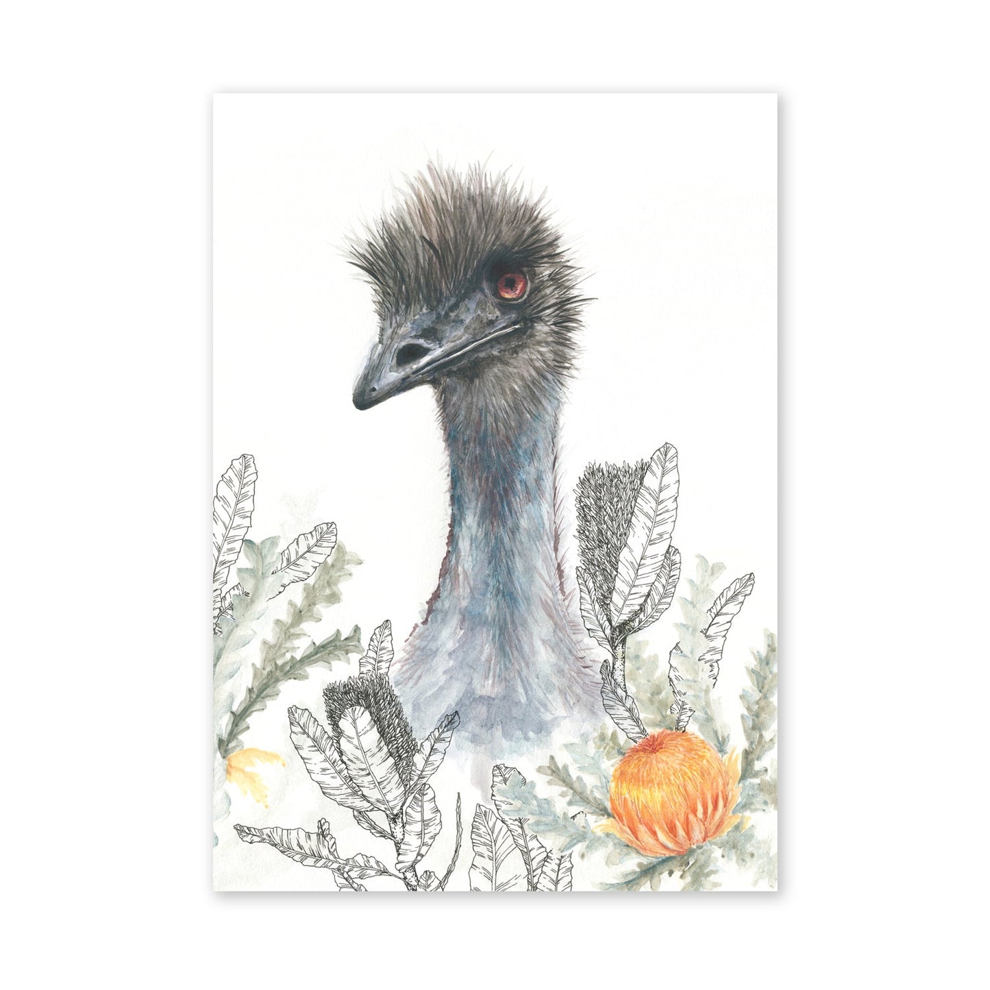 Emu Banksia Encounters | Native Inspirations Collection | Australian Wildlife | Limited Edition Fine Art Print - A3 (29.7 x 42cm) Artwork Frianki