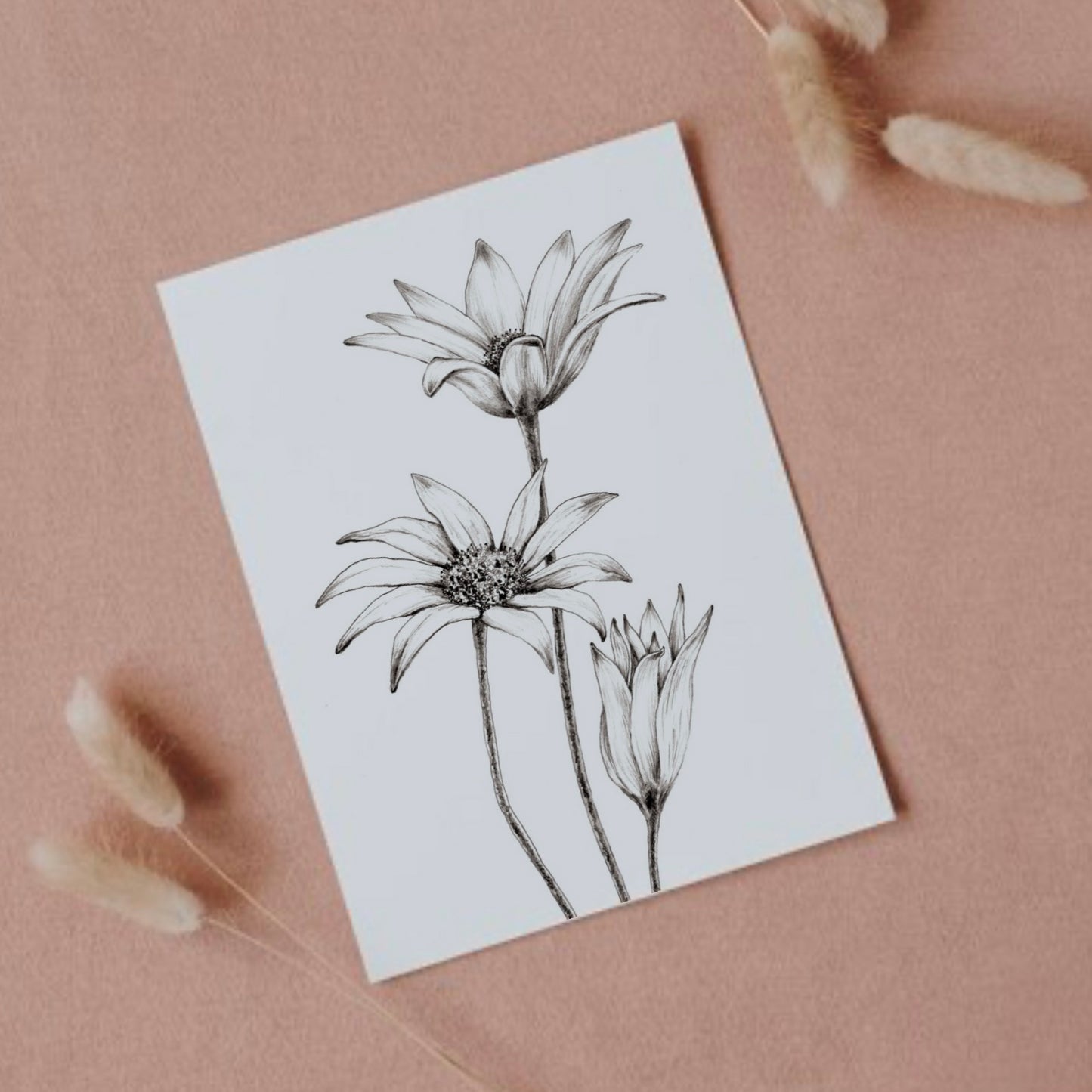 Greeting Cards