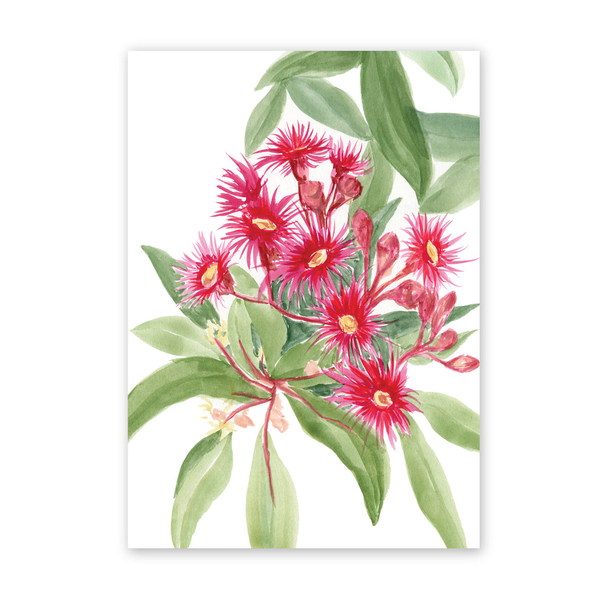 Flowering Gum Cascades | Bright Collection | Watercolour Australian Native Fine Art Print Artwork Frianki