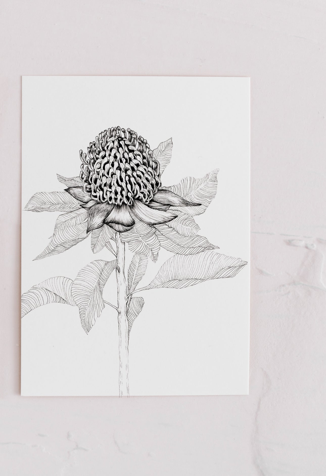 Greeting Cards