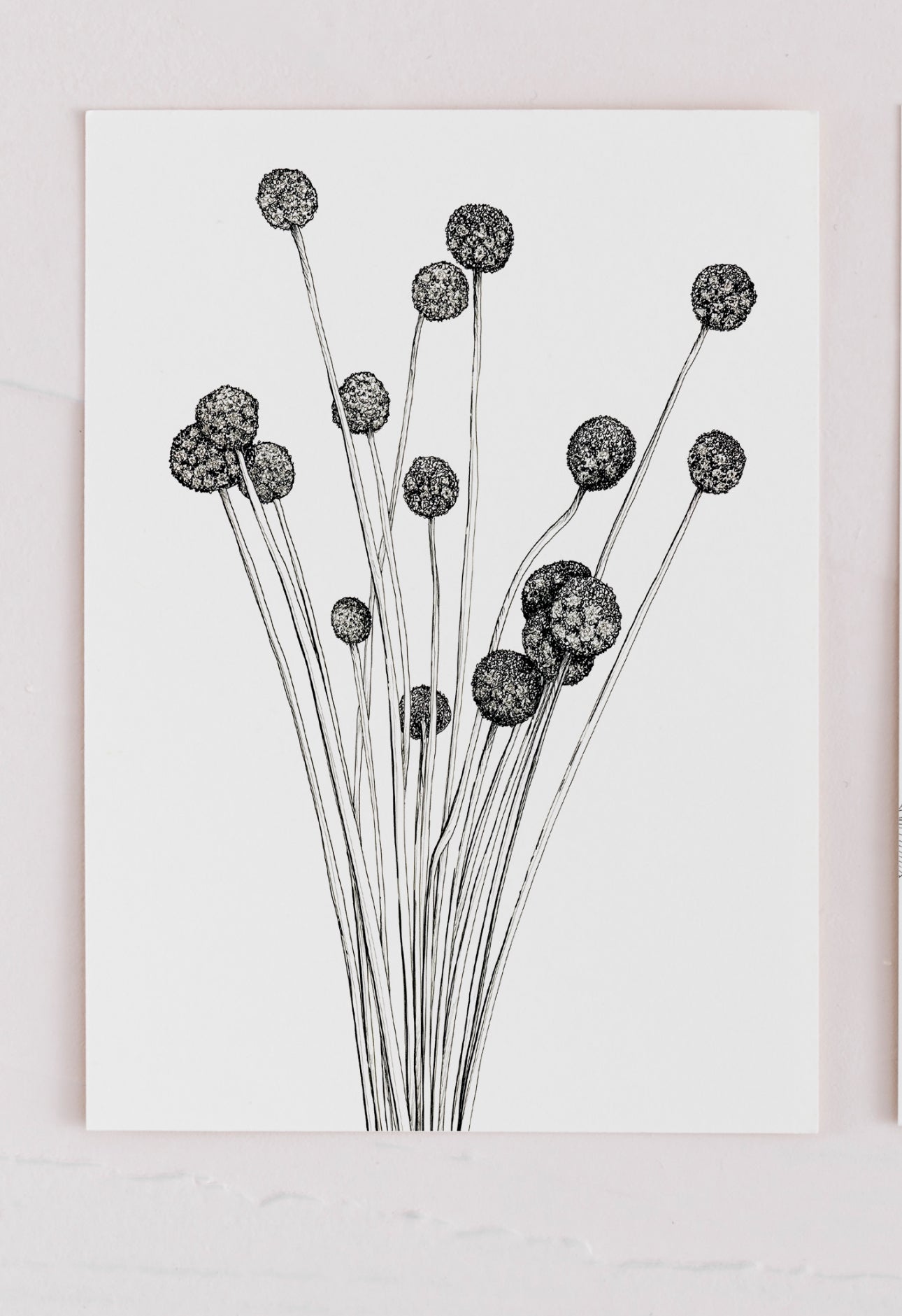 Greeting Cards