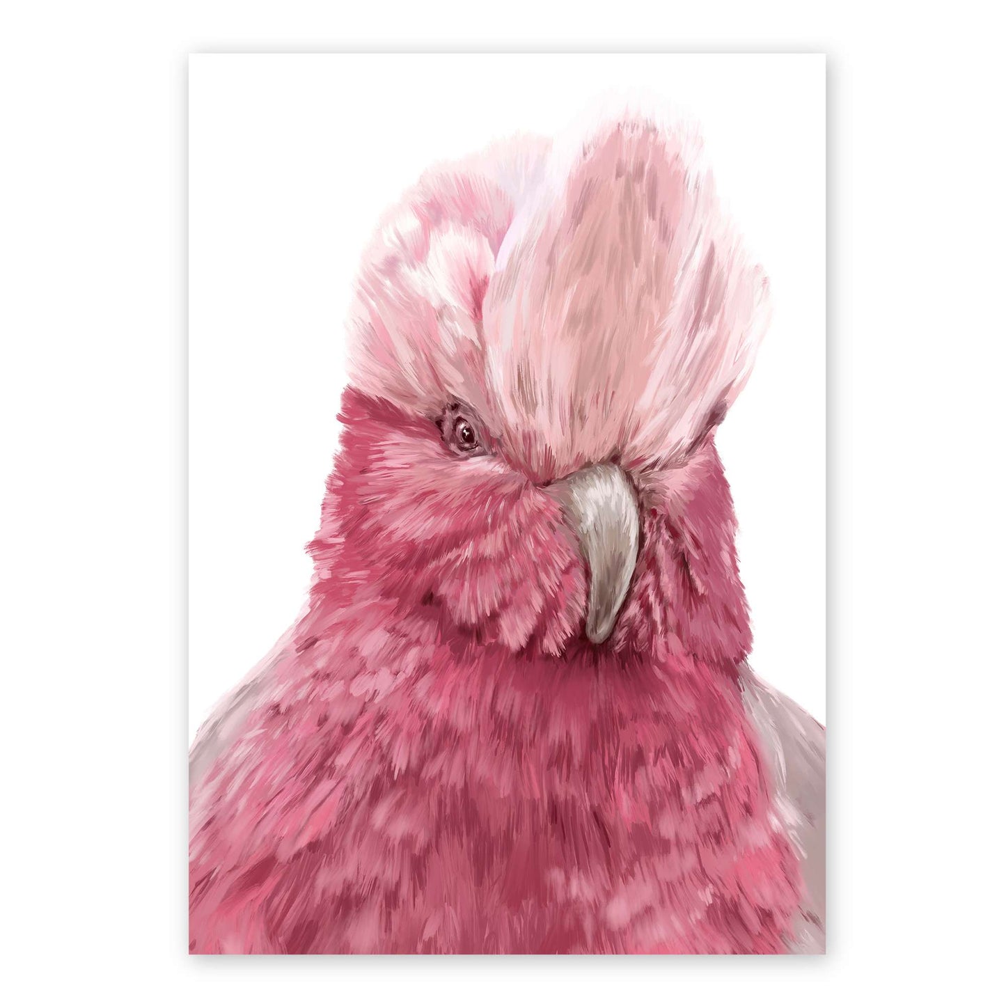 The Galah | Australian Bird Art | Native Wildlife Fine Art Print Artwork Frianki