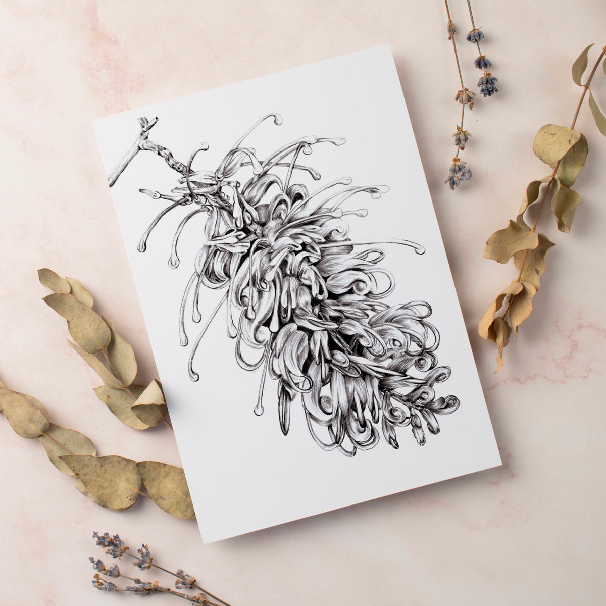 Greeting Cards
