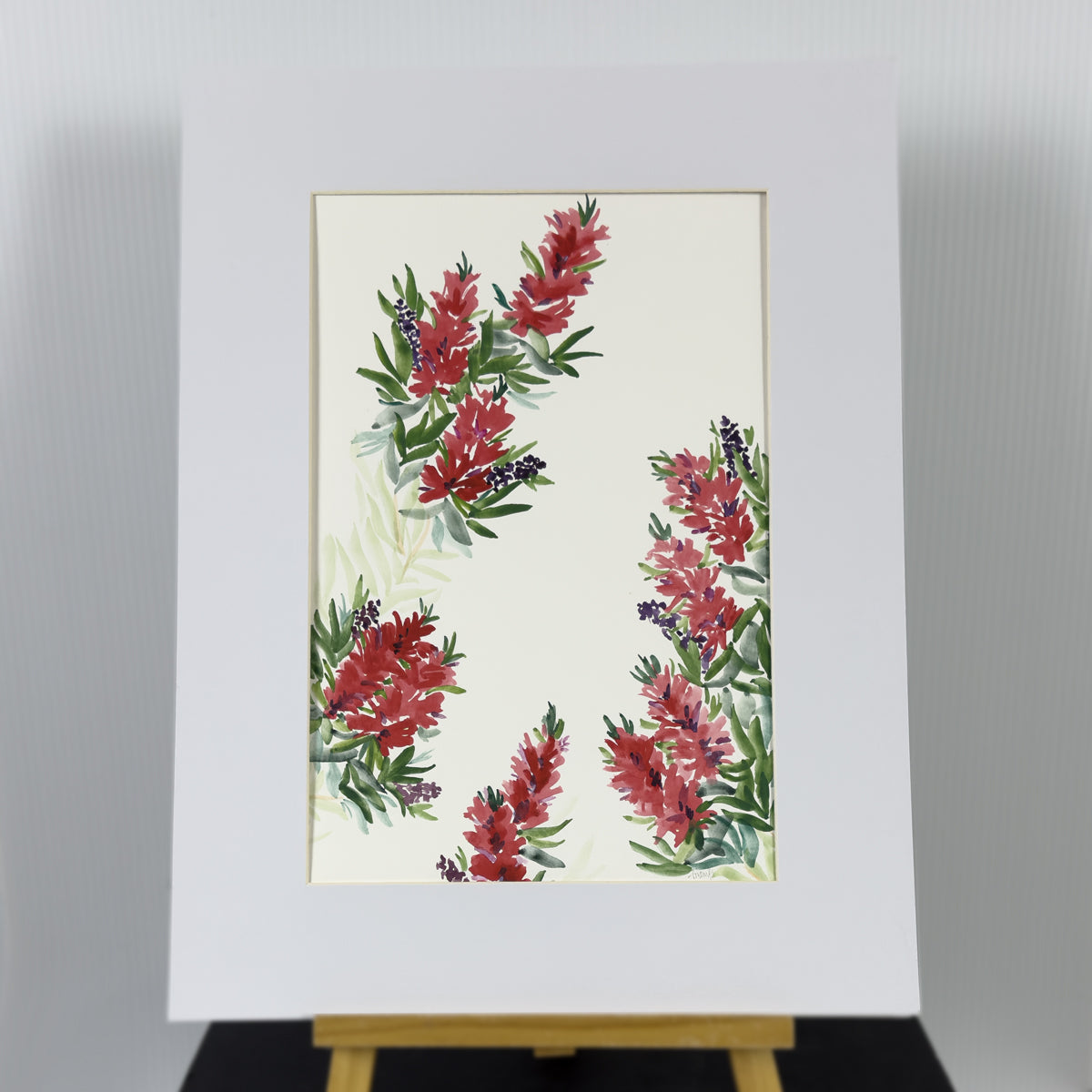 Bottlebrush Surrounds | Original Artwork | Australian Art | Watercolour Artwork Frianki