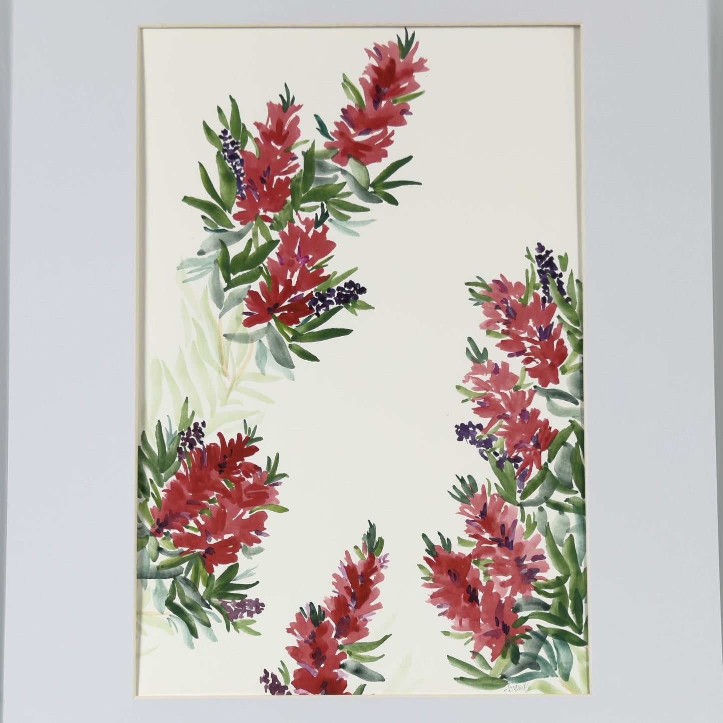 Bottlebrush Surrounds | Original Artwork | Australian Art | Watercolour Artwork Frianki