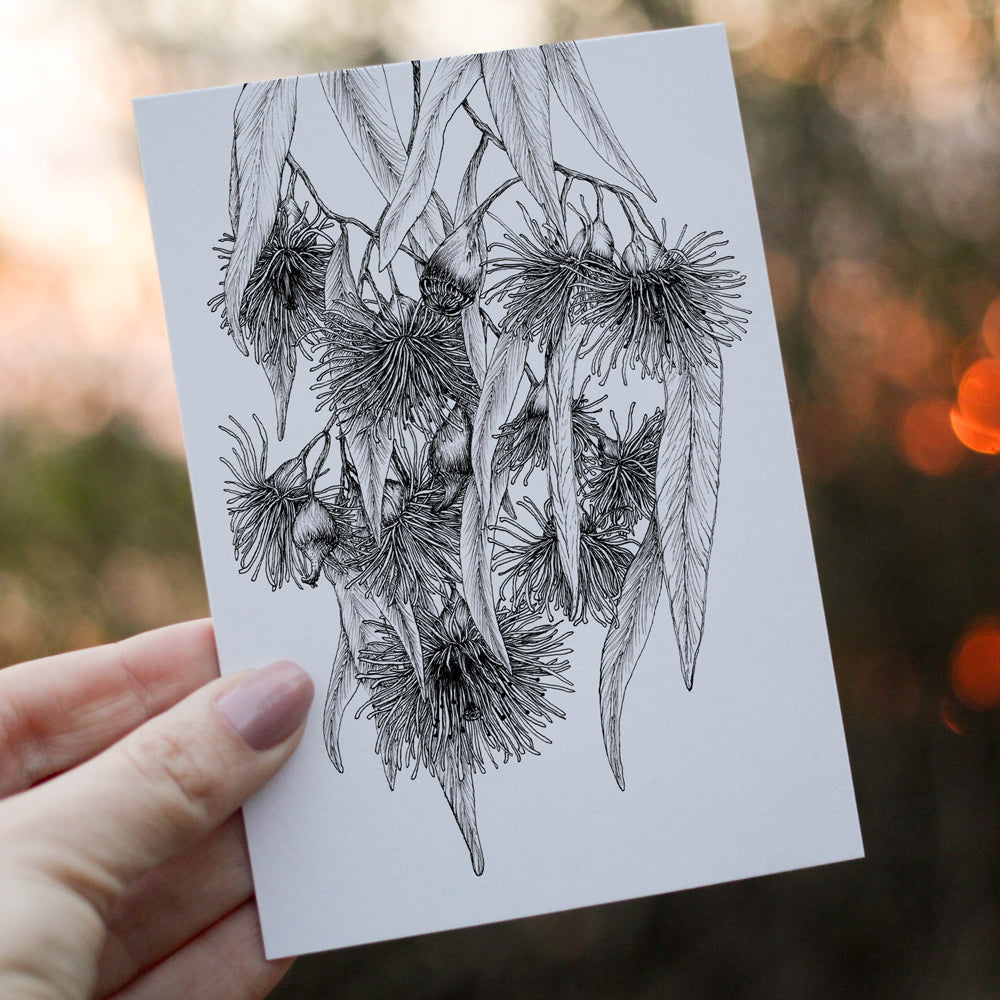 Greeting Cards