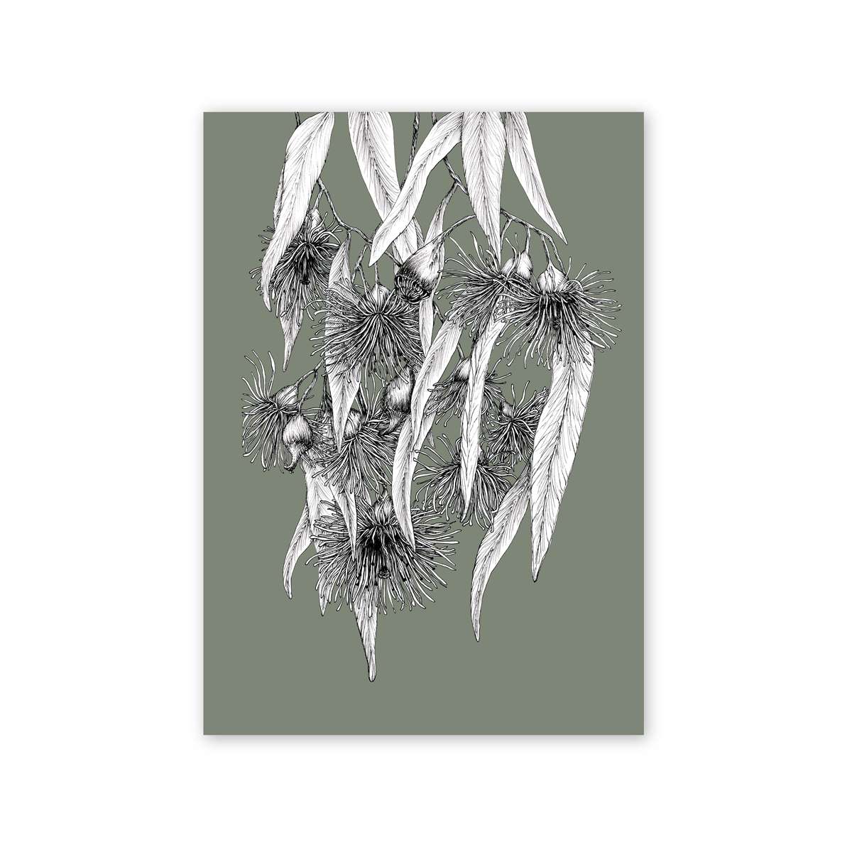 The Flowering Gum | Native Botanical Print White, Pale Green, Deep Sage, Latte Artwork Frianki