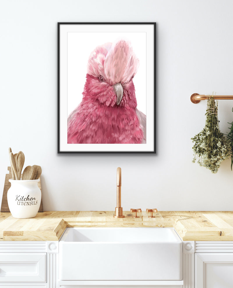The Galah | Australian Bird Art | Native Wildlife Fine Art Print Artwork Frianki