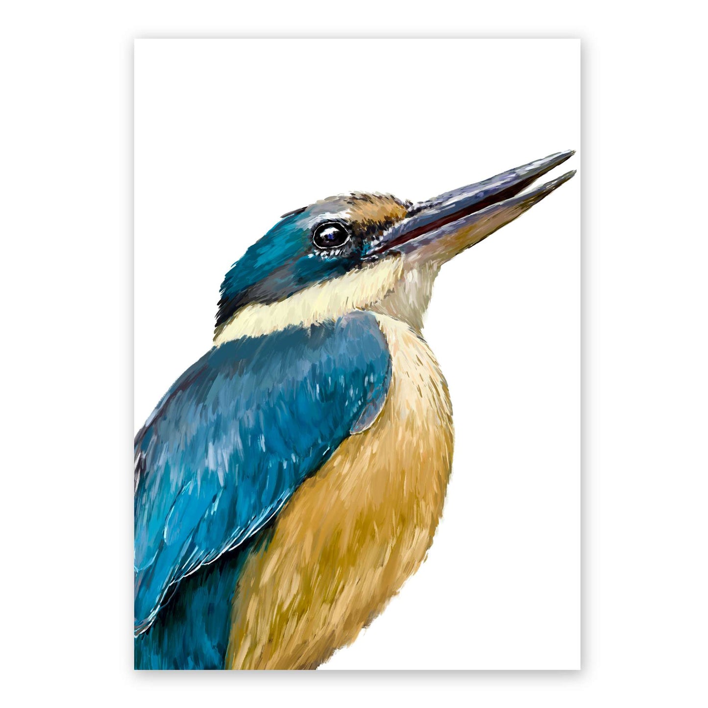 The Kingfisher | Australian Bird Art | Native Wildlife Art Print Artwork Frianki
