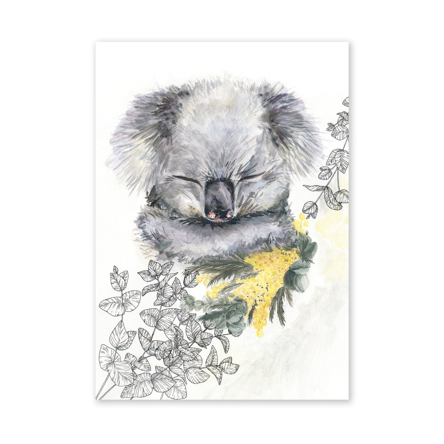 Koala Wattle Canopy | Native Inspirations Collection | Australian Wildlife | Limited Edition Fine Art Print - A3 (29.7 x 42cm) Artwork Frianki