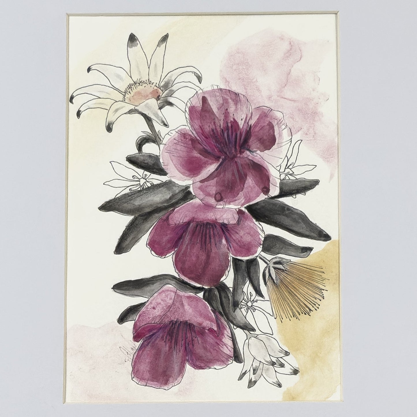 Noir Flannel Flowers & Wisterias | Original Artwork | Watercolour Artwork Frianki