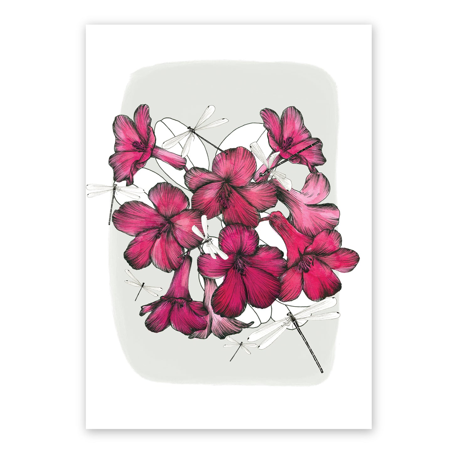Rhododendrons & Damselflies | Vivid Collection | Australian Watercolour