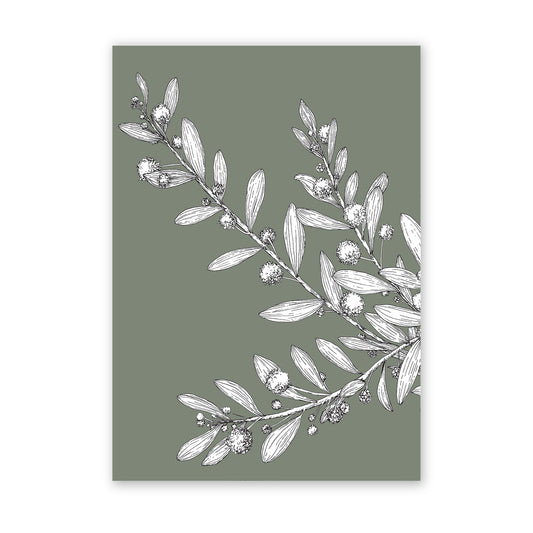 The Wattle | Australian Native Botanical Art