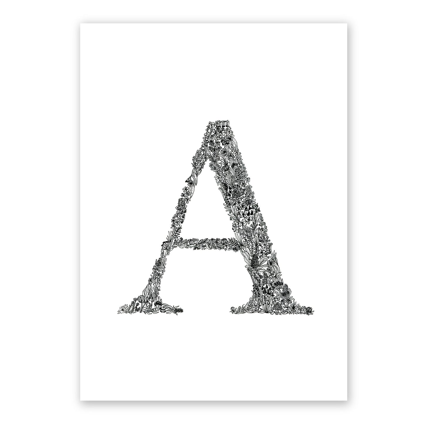 The Wildflower Letters (A3) | Australian Native Flora Wall Art Frianki