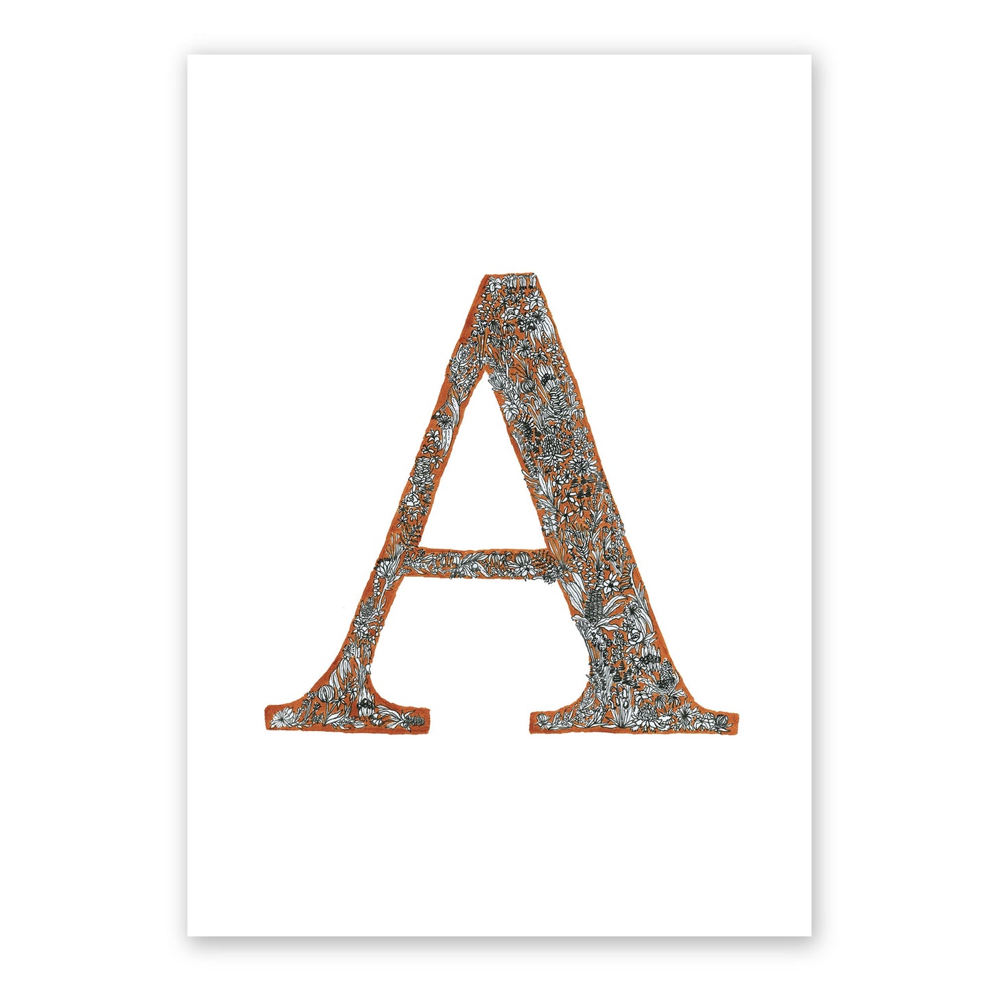 The Wildflower Letters (A3) | Australian Native Flora Wall Art Frianki