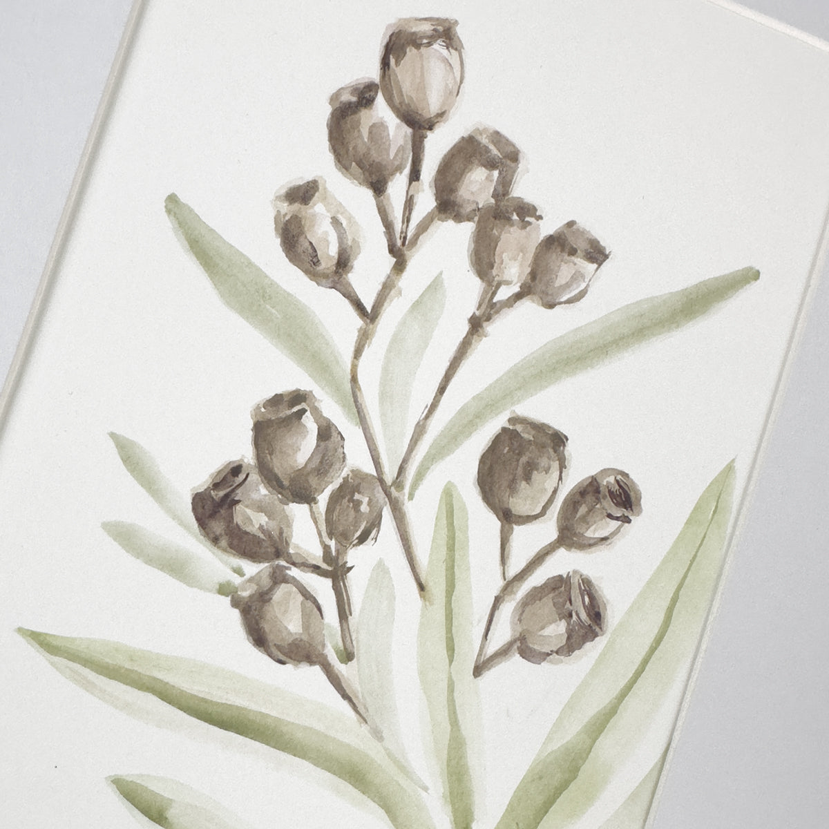 Sweet Gumnuts | Original Artwork | Australian Art | Watercolour Artwork Frianki