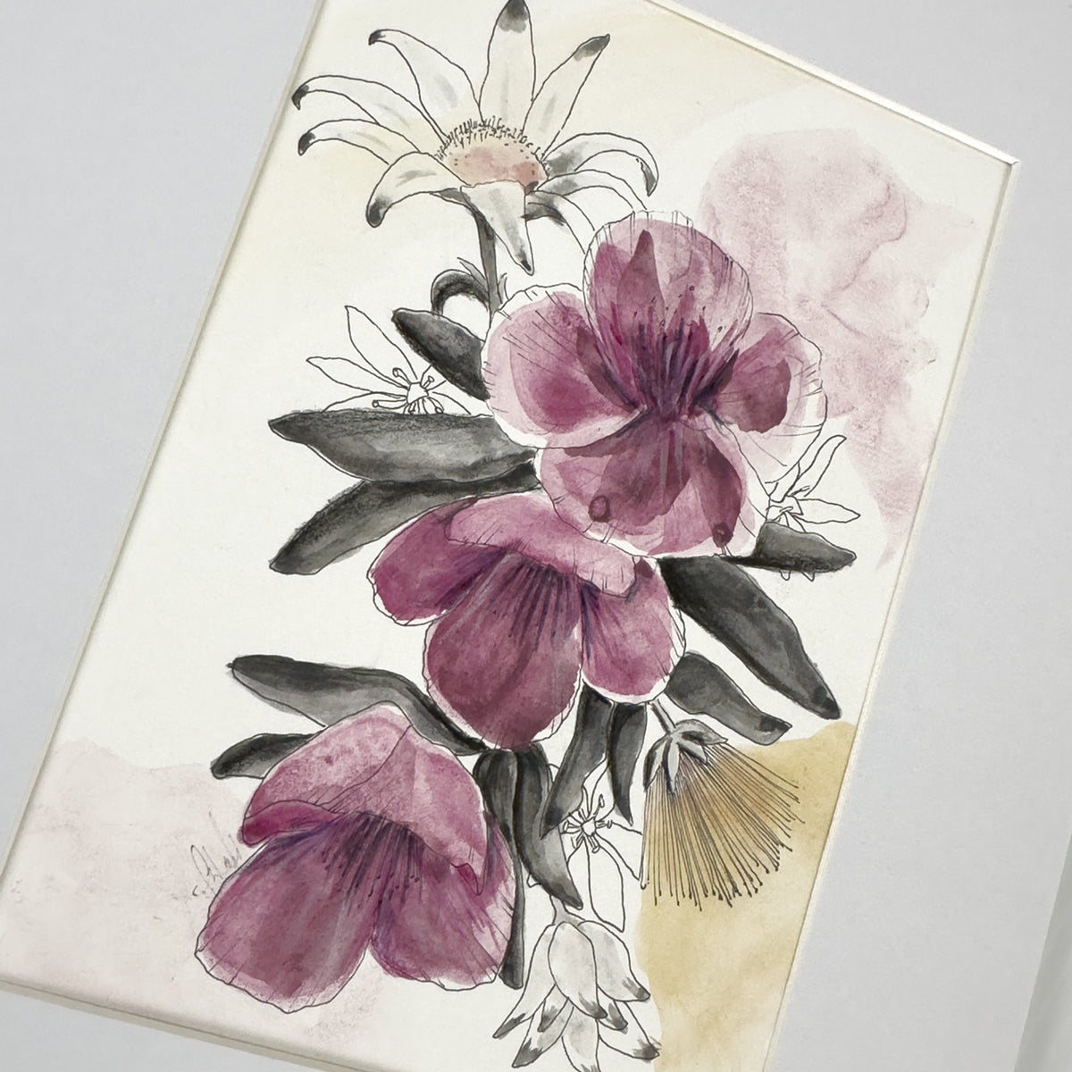 Noir Flannel Flowers & Wisterias | Original Artwork | Watercolour Artwork Frianki