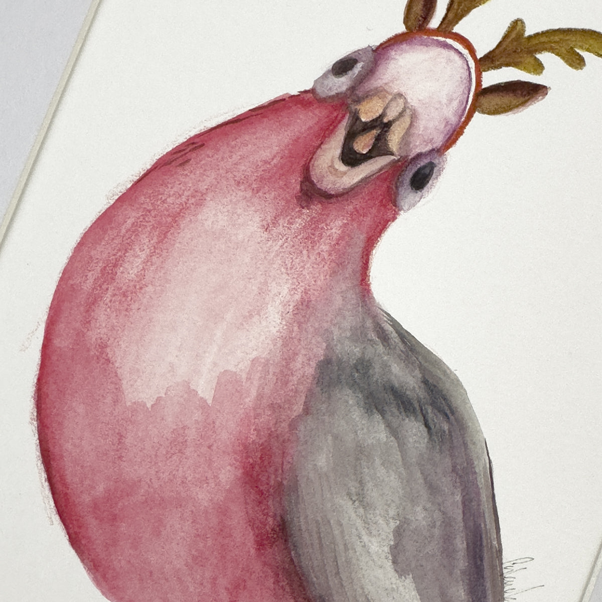 Christmas galah original artwork