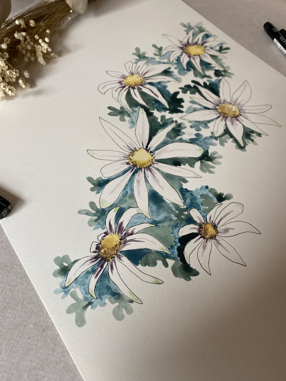 Flannel Flower | Spring Collection Original | Australian Art | Watercolour Artwork Frianki