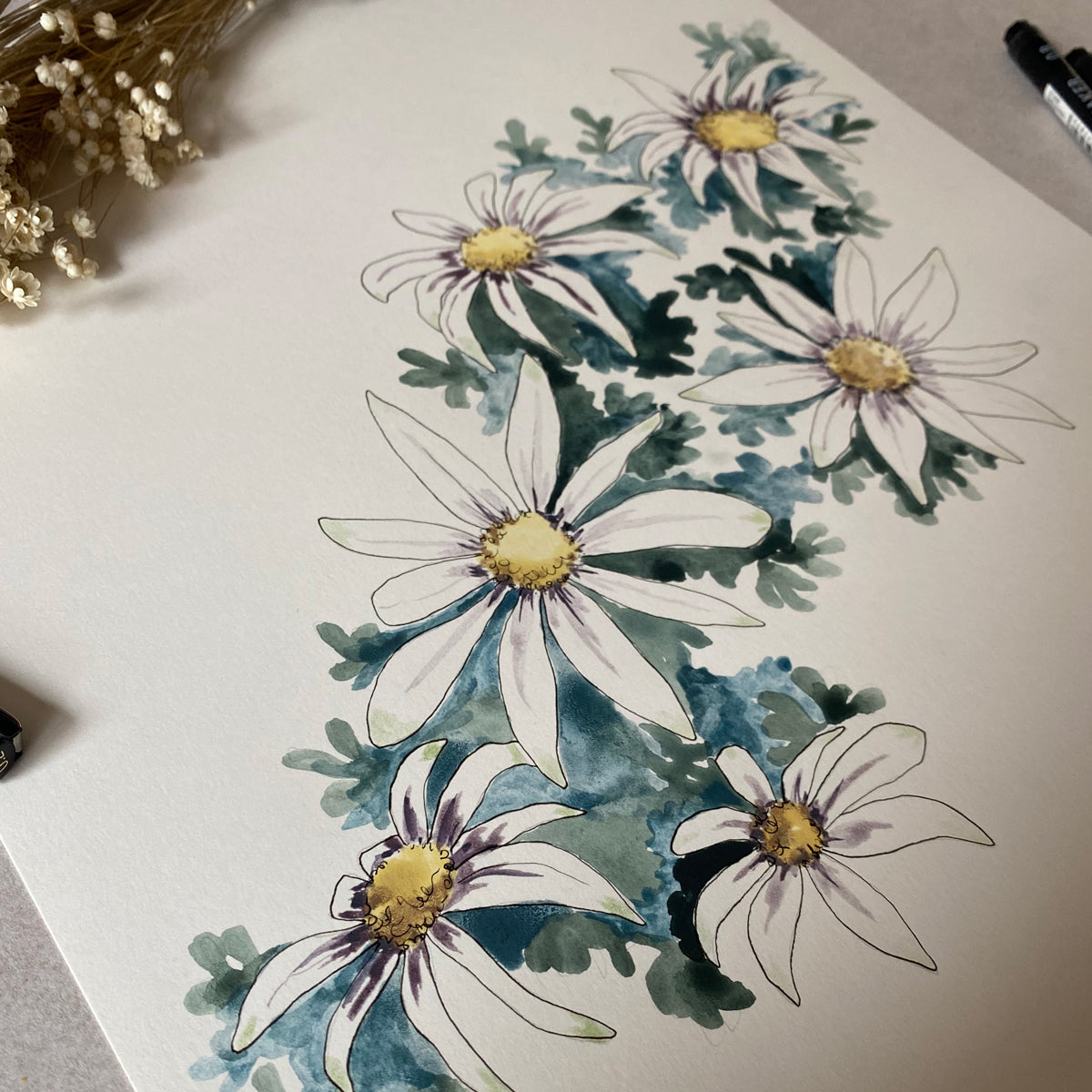 Flannel Flower | Spring Collection Original | Australian Art | Watercolour Artwork Frianki