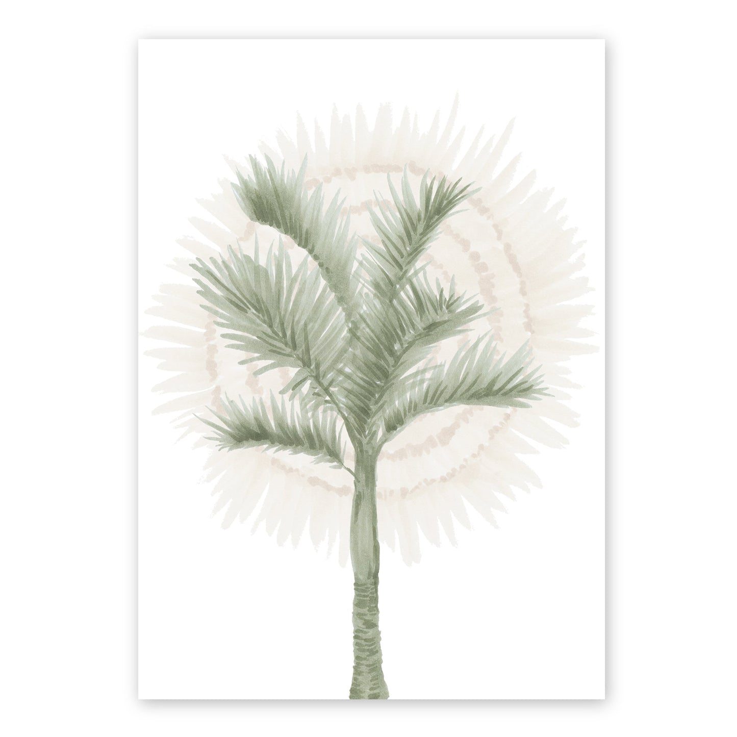 Alexander Palm | Australian Art Print | Native Coastal Beach Wall Art Artwork Frianki