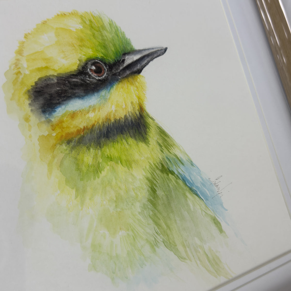 Rainbow Bee Eater | Original Artwork | Australian Art | Watercolour Artwork Frianki
