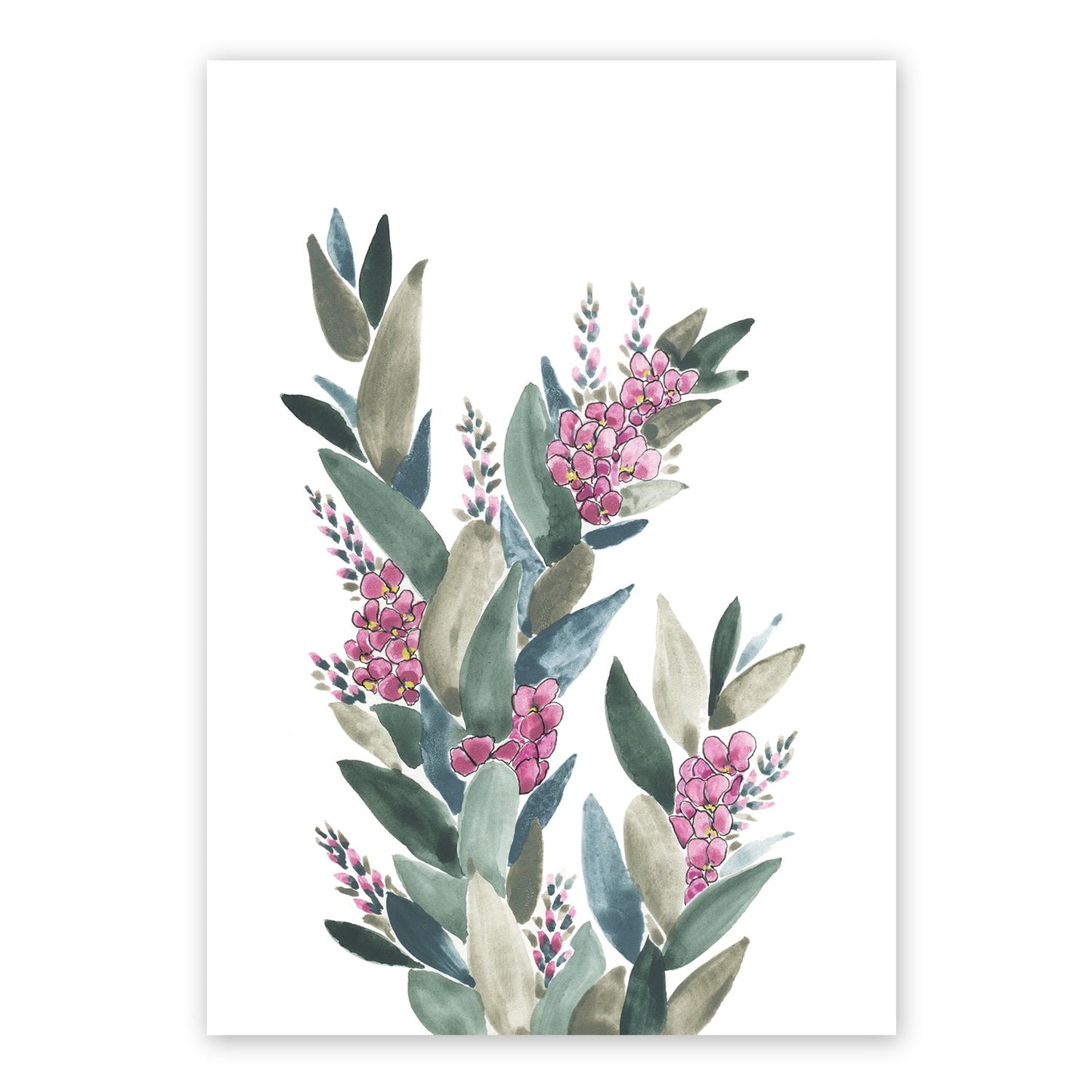 Pea Flowers | Spring Collection | Australian Fine Art Print | Watercolour Mixed Media Artwork Frianki