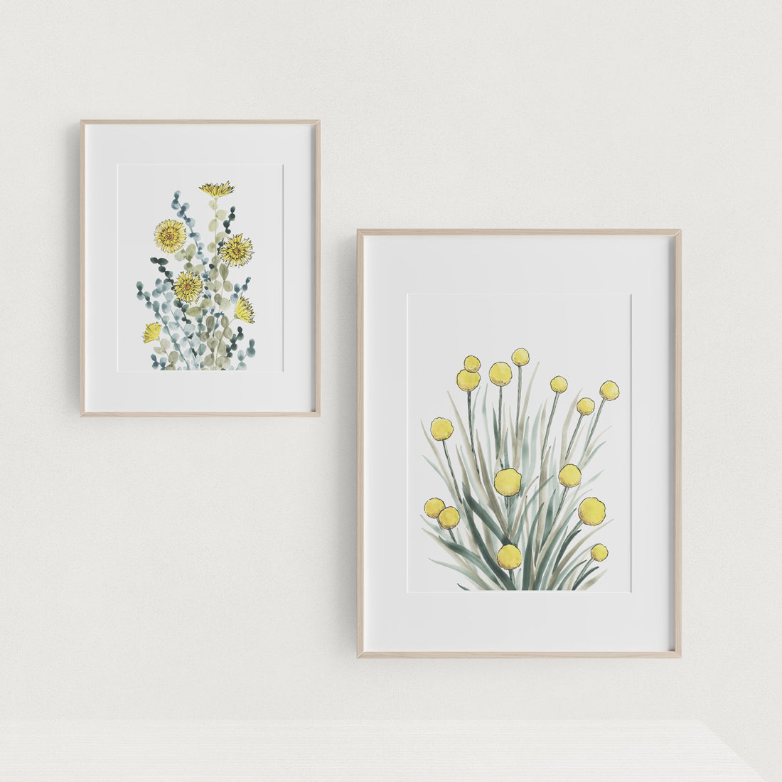 Billy Buttons | Spring Collection | Australian Fine Art Print | Watercolour Mixed Media Artwork Frianki