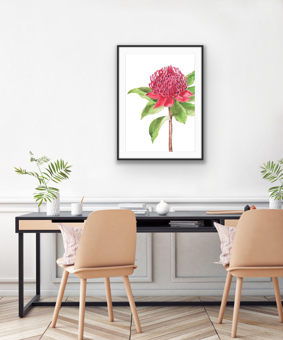 The Waratah | Australian Watercolour Art