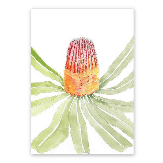 The Banksia Menziesii | Australian Watercolour Art