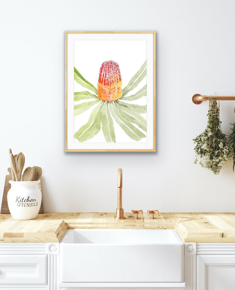 The Banksia Menziesii | Australian Native Artwork