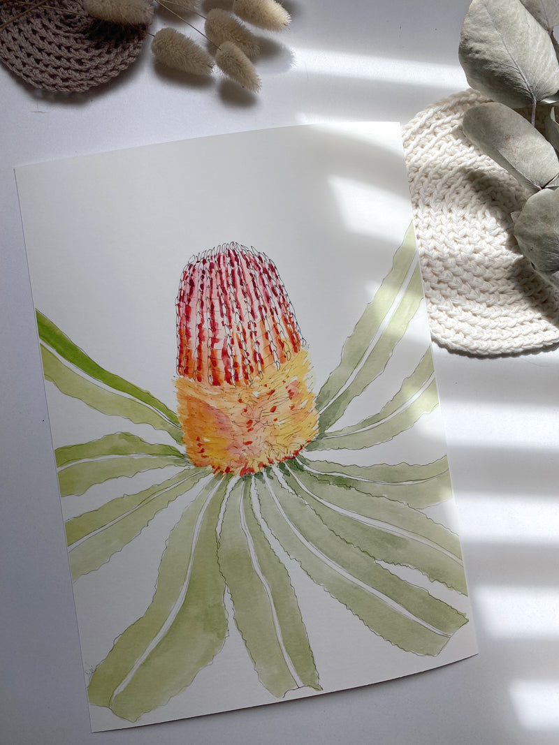 The Banksia Menziesii | Australian Native Artwork