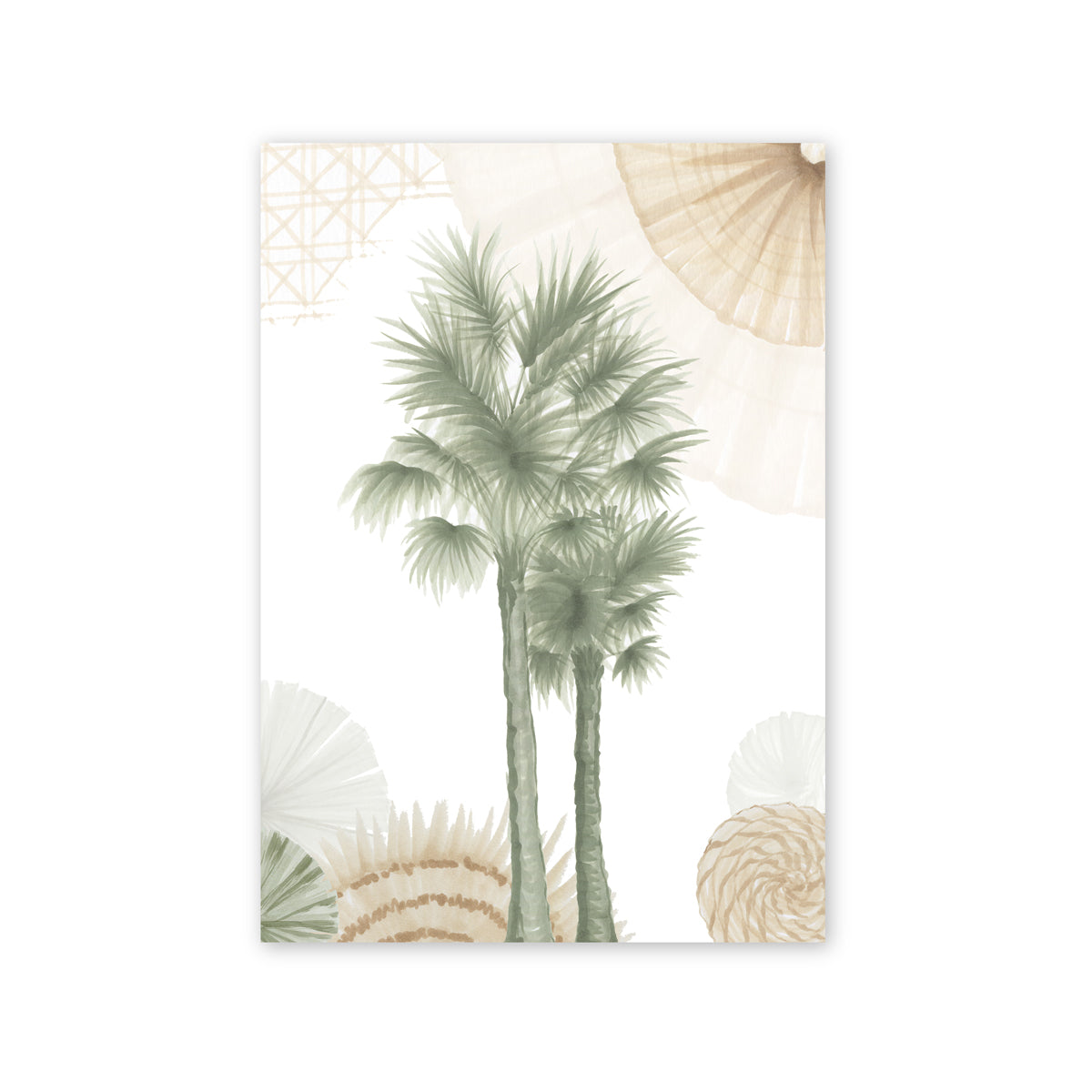 Cabbage Palm II Tree  | Australian Art Print | Native Coastal Beach Wall Art  Artwork Frianki