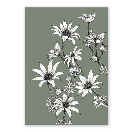 The Flannel Flowers Reimagined | Various Colours | Deep Sage Art