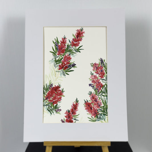 Bottlebrush Surrounds | Original Artwork | Australian Art | Watercolour  Artwork Frianki