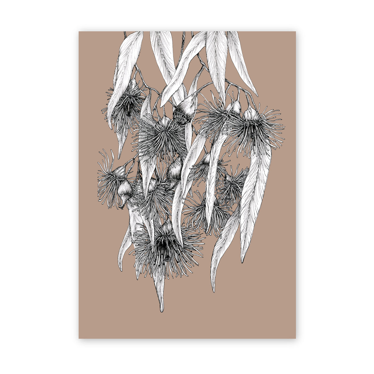 The Flowering Gum | Native Botanical Print White, Pale Green, Deep Sage, Latte Artwork Frianki