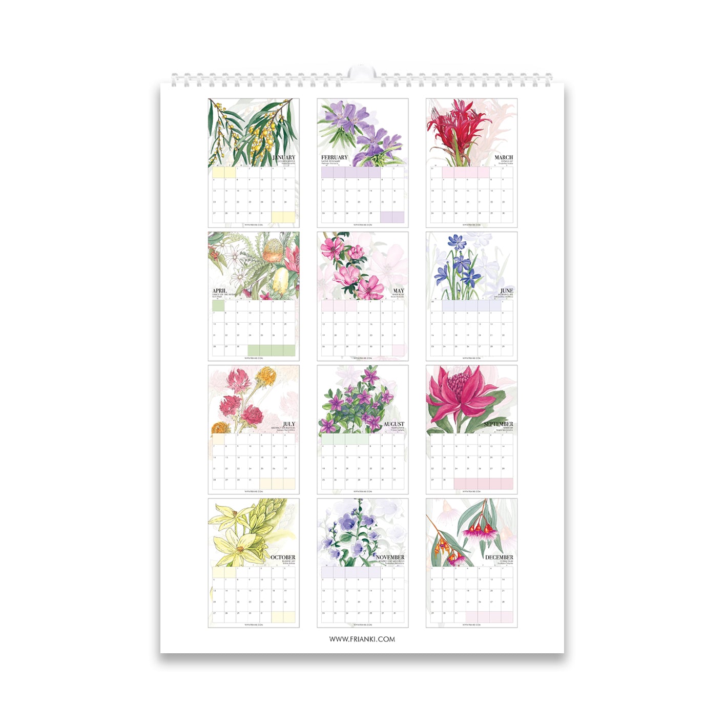 2025 Watercolour Calendar PREORDER