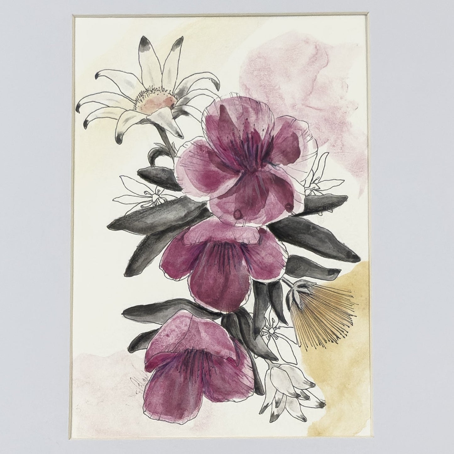 Noir Flannel Flowers & Wisterias | Original Artwork | Watercolour  Artwork Frianki