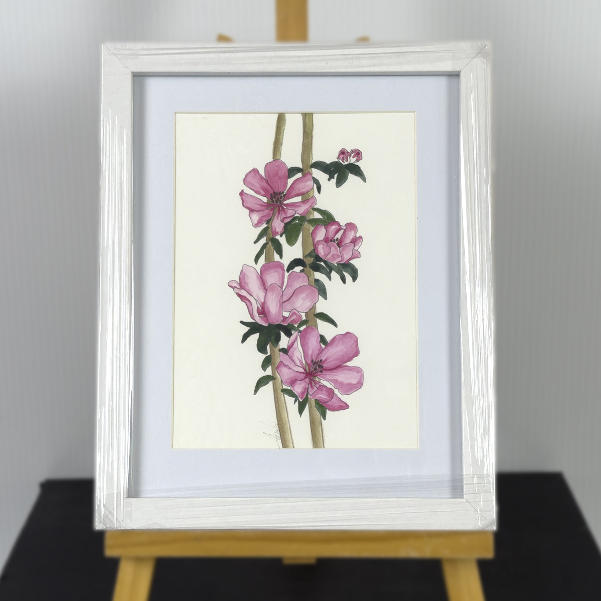 River Rose Framed | Original Artwork | Australian Art | Watercolour  Artwork Frianki