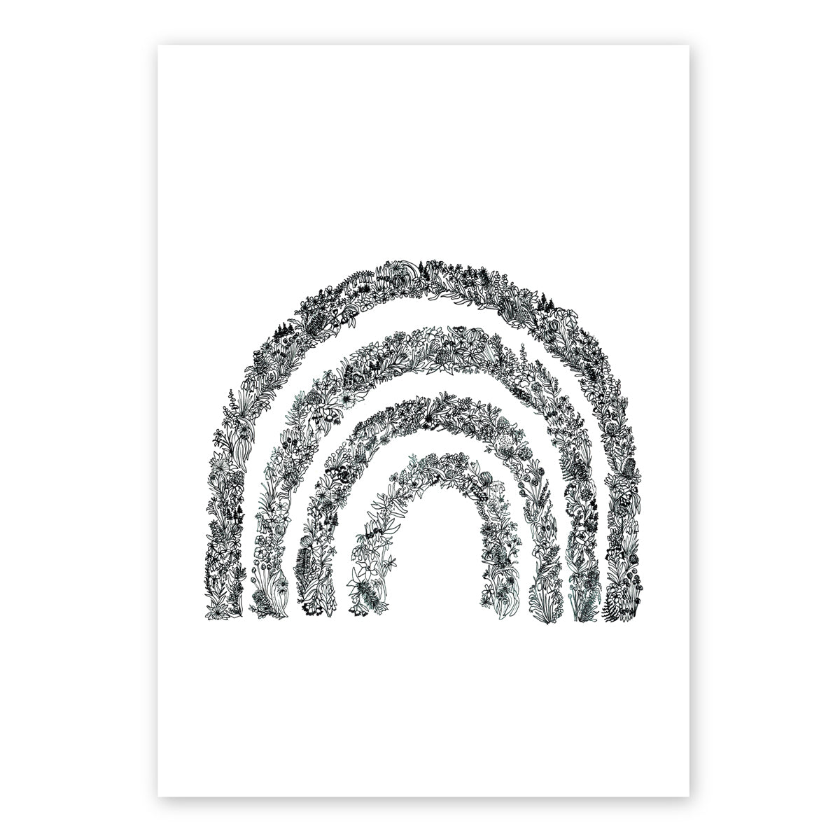 The Wildflower Rainbow | Australian Line Art | Different Colours | Native Flora Wall Art Print Colour on Pale Pink, Colour on White, Black & White Artwork Frianki