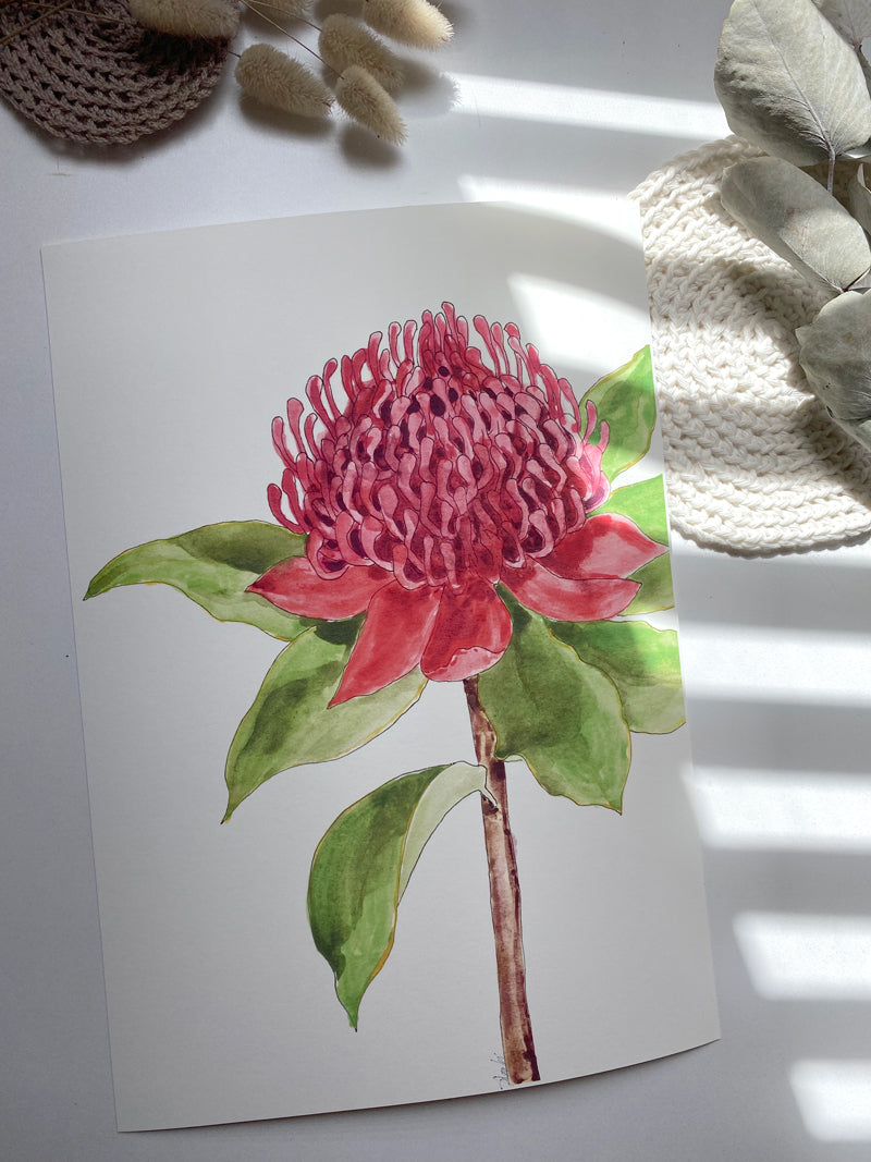 The Waratah | Australian Watercolour Art