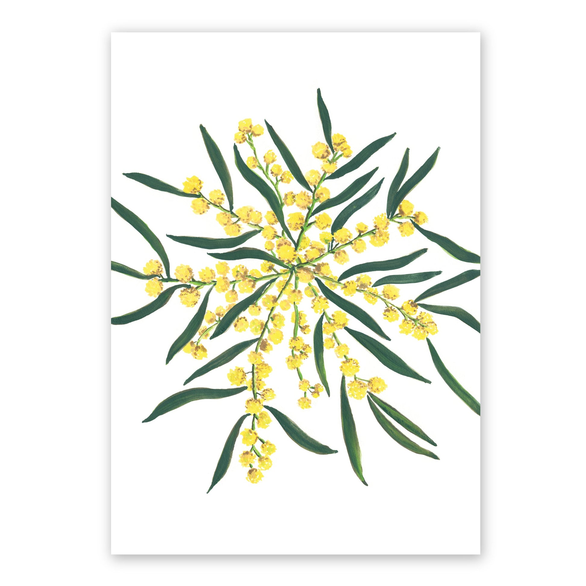 The Wattle | Watercolour Fine Art Frianki