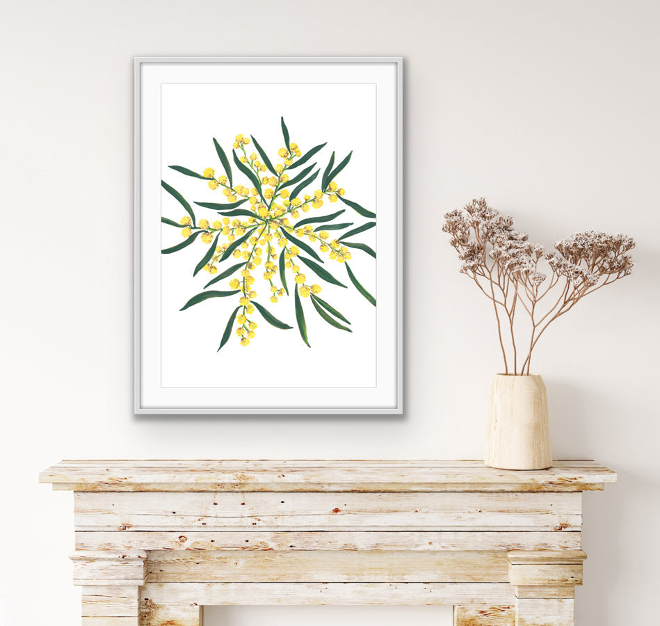 The Wattle | Australian Native Art