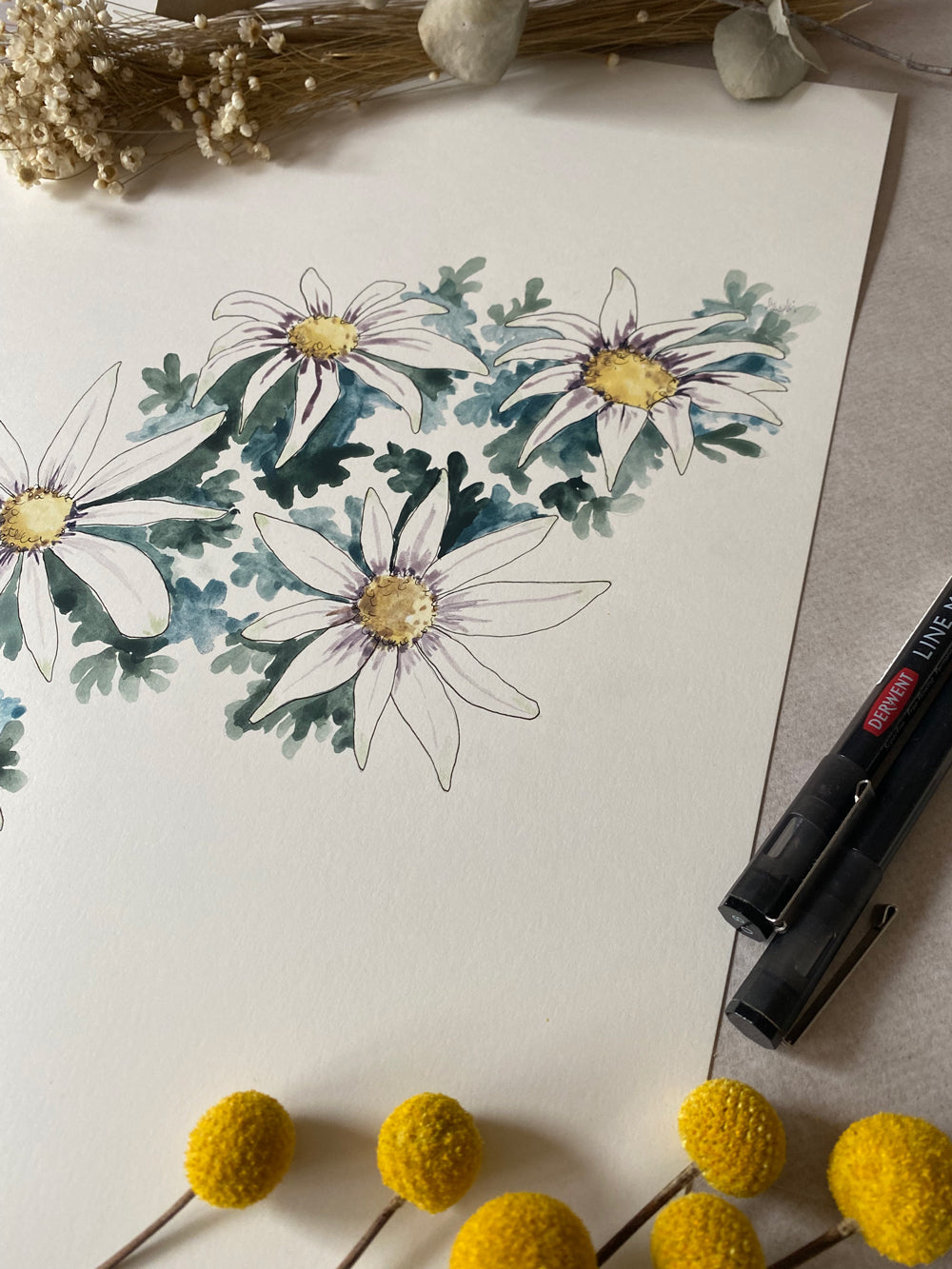 Flannel Flower | Spring Collection Original | Australian Art | Watercolour  Artwork Frianki