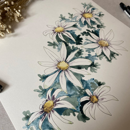 Flannel Flower | Spring Collection Original | Australian Art | Watercolour  Artwork Frianki